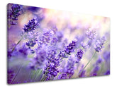 Πίνακας ζωγραφικής τοίχου FLOWERS