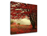 Wall painting TREES Discount 60 % 50X50 cm