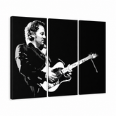 Χειροποίητη ζωγραφική POP Art Bruce Springsteen 3 τεμάχια bs – Τρισδιάστατη απεικόνιση του χειροποίητα ζωγραφισμένου καμβά σε λευκό φόντο. Κυρίαρχα χρώματα: μαύρο, λευκό, γκρι.