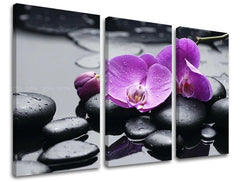 Wall painting FENG SHUI Έκπτωση 60% 120X80 cm