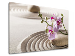 Εικόνα σε καμβά FENG SHUI_051-11 Έκπτωση 60% 30X40 cm