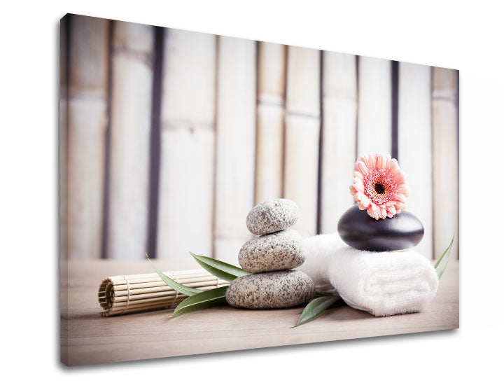 Η εικόνα σε καμβά FENG SHUI_053-11 Έκπτωση 60 % 20X30 cm