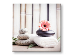 Πίνακας ζωγραφικής FENG SHUI_053-12 70x70 cm