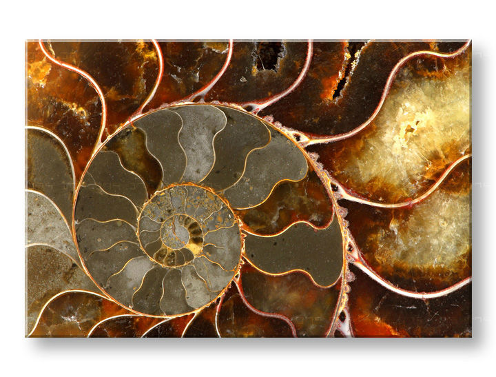 Τοιχογραφία INSPIRATION 60x90 cm