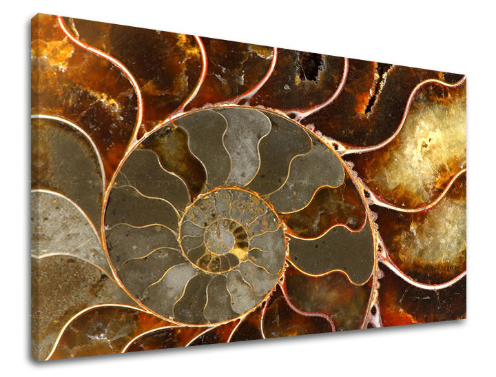 Τοιχογραφία INSPIRATION 60x90 cm