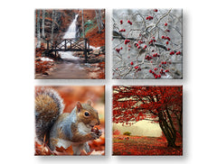 Τοιχογραφία BEAUTY OF AUTUMN 40x40 cm