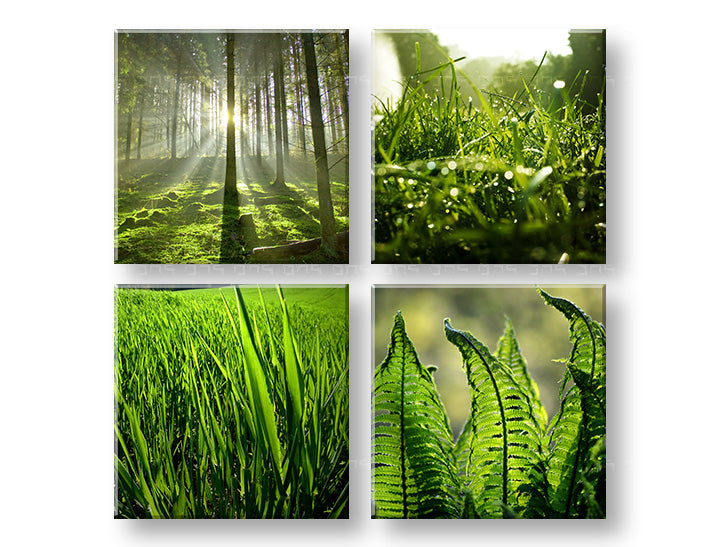 Τοιχογραφία SUNRISE OF NATURE 80x80 cm