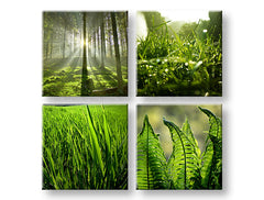 Τοιχογραφία SUNRISE OF NATURE 80x80 cm