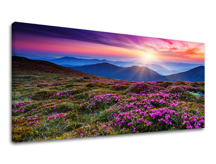 PANORAMA Τοπιογραφία τοίχου Έκπτωση 60% 50X100 cm