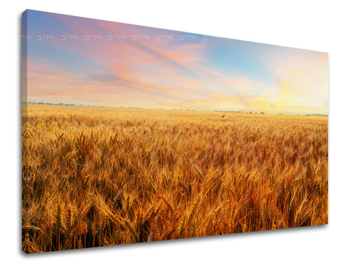 Τοπιογραφία τοίχου 40X60 cm