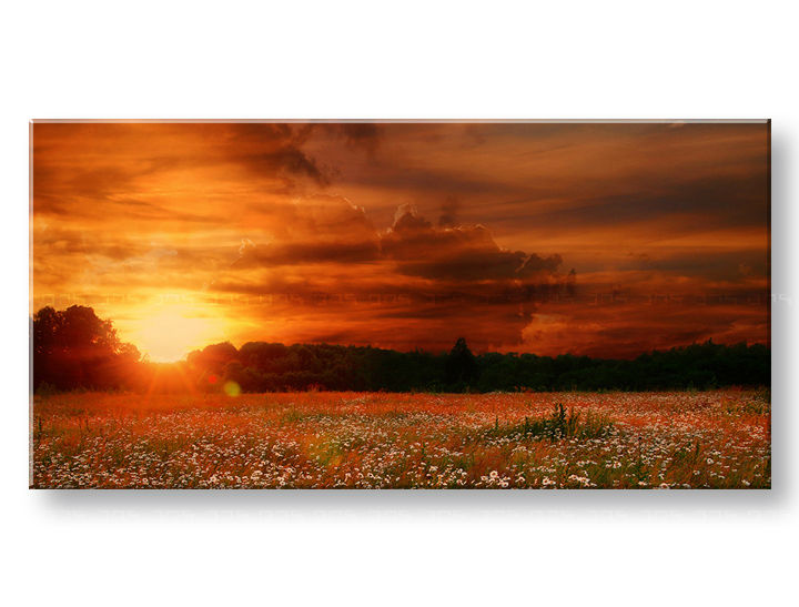 PANORAMA Τοπιογραφία τοίχου Έκπτωση 60% 50X100 cm