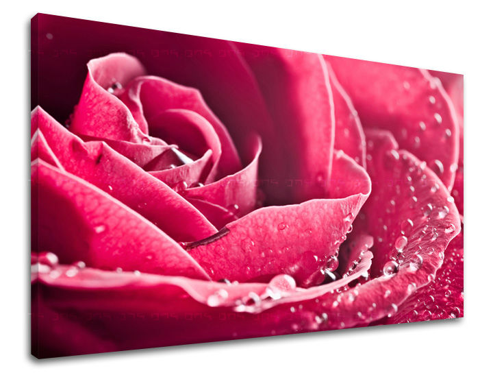 Πίνακας ζωγραφικής τοίχου FLOWERS 40x60 cm