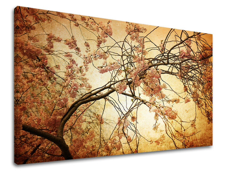 Πίνακας ζωγραφικής τοίχου FLOWERS 60x90 cm