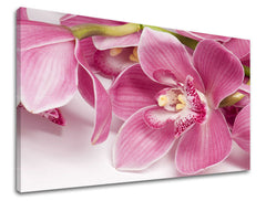 Πίνακας ζωγραφικής τοίχου FLOWERS