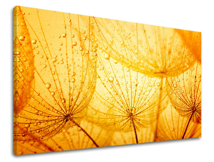 Τοιχογραφία FLOWERS 60X90 cm