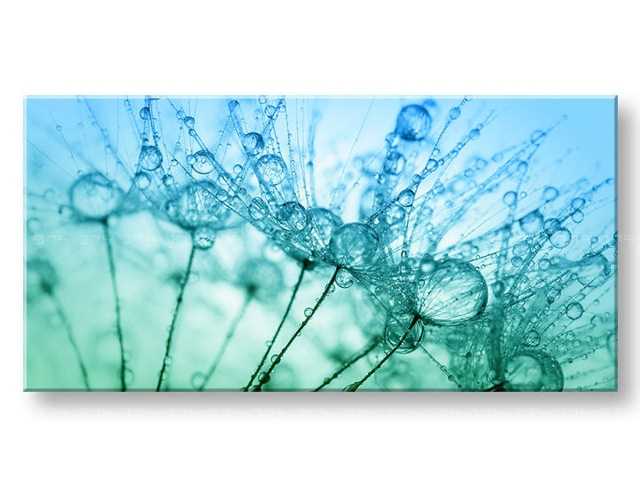 Τοιχογραφία PANORAMA FLOWERS Discount 60% 50X100 cm