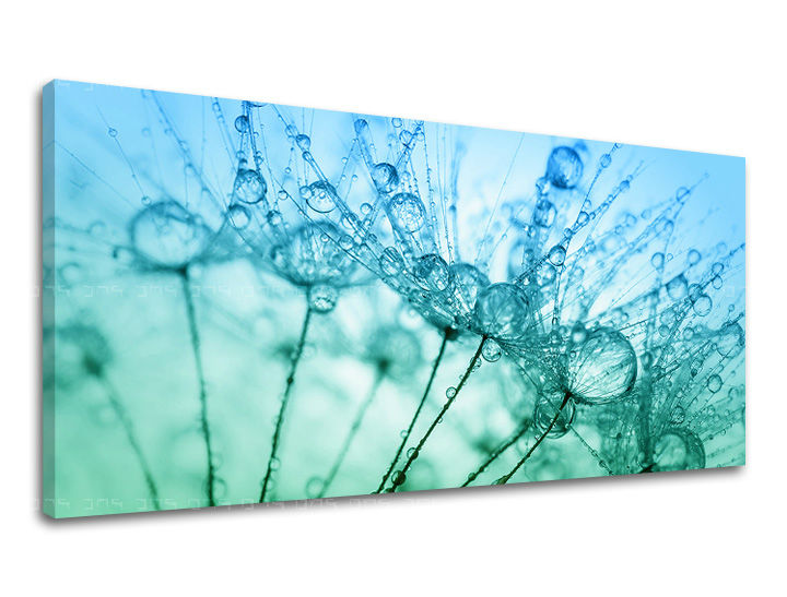 Τοιχογραφία PANORAMA FLOWERS Discount 60% 50X100 cm