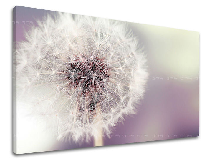 Wall painting FLOWERS Discount 60 % 30X40 cm