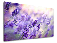 Wall painting FLOWERS Discount 60 % 30X40 cm