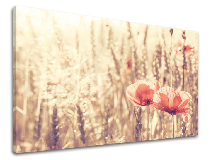 Πίνακας ζωγραφικής τοίχου FLOWERS