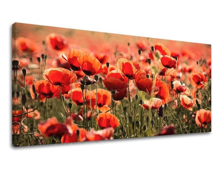 Ζωγραφική τοίχου PANORAMA ΛΟΥΛΟΥΔΙΑ