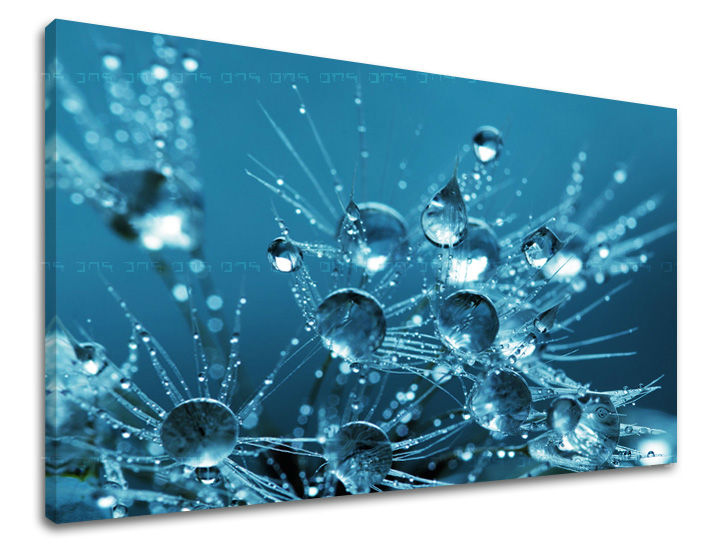 Wall painting FLOWERS Discount 60 % 30X40 cm