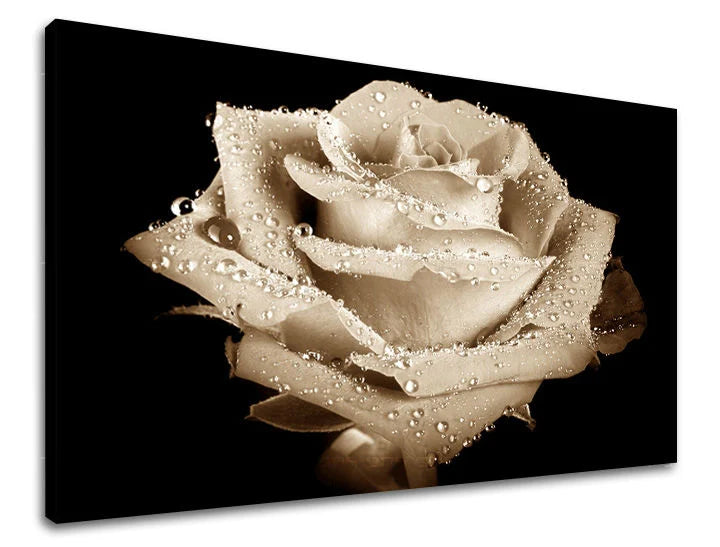 Πίνακας ζωγραφικής τοίχου FLOWERS OF ROSES Discount 60% 150X100 cm