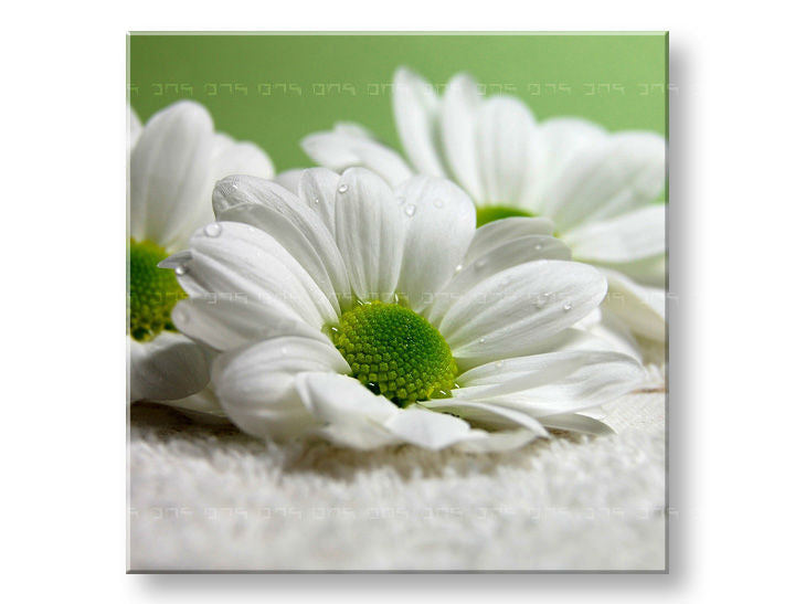 Πίνακας ζωγραφικής τοίχου FLOWERS