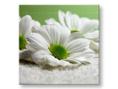 Πίνακας ζωγραφικής τοίχου FLOWERS