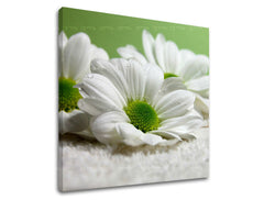 pinakas-zografikhs-toixoy-flowers-30x30-cm-GR-XOBKV111E12-30x30-24h-0.jpg