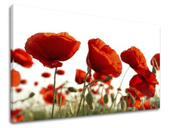 Πίνακας ζωγραφικής τοίχου FLOWERS MAKY Discount 60% 30X40 cm