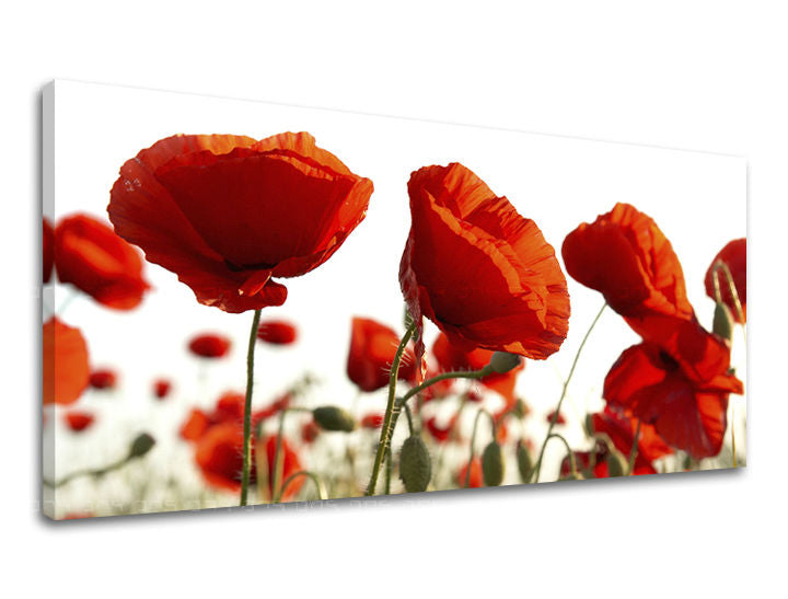 Πανόραμα ζωγραφικής τοίχου FLOWERS - εικόνα 2