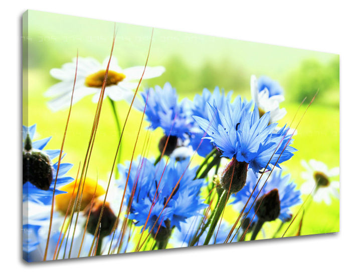 Wall painting FLOWERS Discount 60 % 60X90 cm