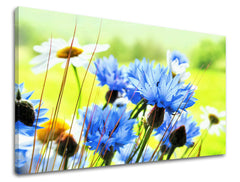 Wall painting FLOWERS Discount 60 % 60X90 cm
