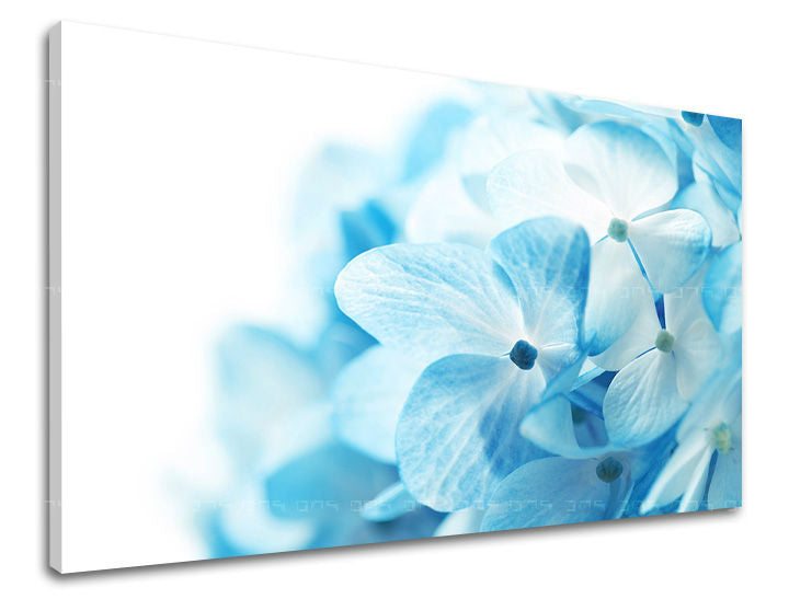 Wall painting FLOWERS Discount 60 % 60X90 cm