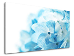 Wall painting FLOWERS Discount 60 % 60X90 cm