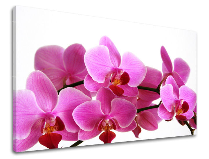 Πίνακας ζωγραφικής τοίχου FLOWERS