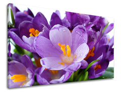 Wall painting FLOWERS Discount 60 % 40X60 cm