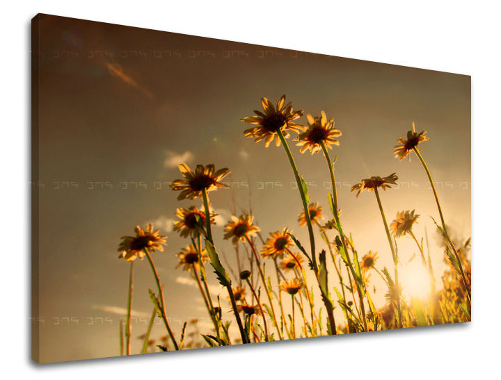Wall painting FLOWERS Discount 60 % 30X40 cm