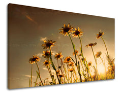 Wall painting FLOWERS Discount 60 % 30X40 cm