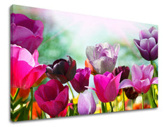 Πίνακας ζωγραφικής τοίχου FLOWERS TULIPÁNY 60x90 cm