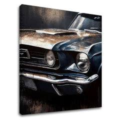 Σχεδιασμός διακόσμηση σε καμβά Galloping American Dream | διαφορετικές διαστάσεις