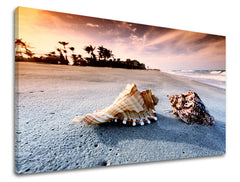 zografikh-toixoy-beach-40x60-cm-GR-XOBPL024E11-40x60-24h-0.jpg