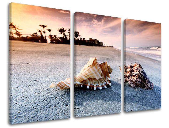 Πίνακας ζωγραφικής τοίχου BEACH Discount 60 % 90X60 cm