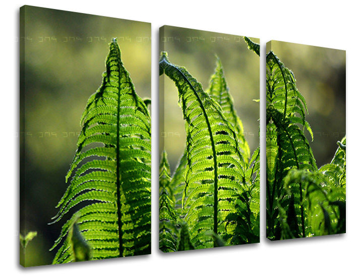 Πίνακας ζωγραφικής τοίχου RASTLINES 60x40 cm