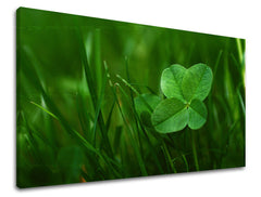 Wall painting PLANTS Discount 60% 30X40 cm