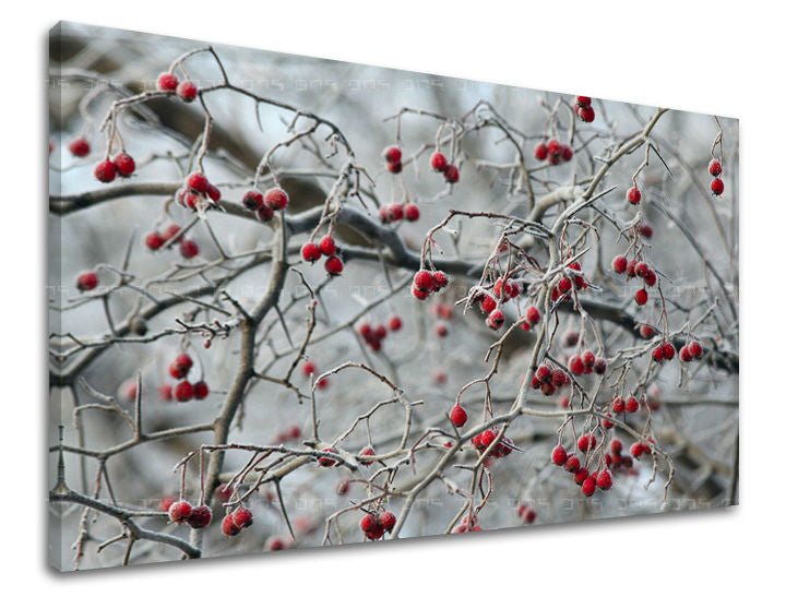 Τοιχογραφία STROMY XOBST006E11 30X40 cm