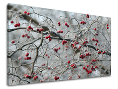 Τοιχογραφία STROMY XOBST006E11 30X40 cm