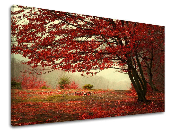 Wall painting TREES Discount 60 % 40X60 cm