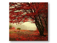 Wall painting TREES Discount 60 % 50X50 cm